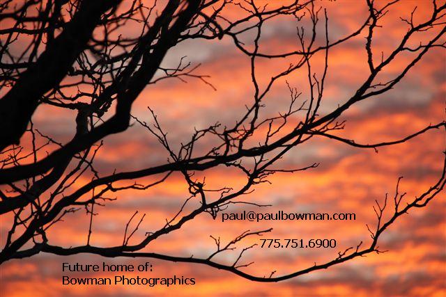 winter sunset, by Maggie Bowman